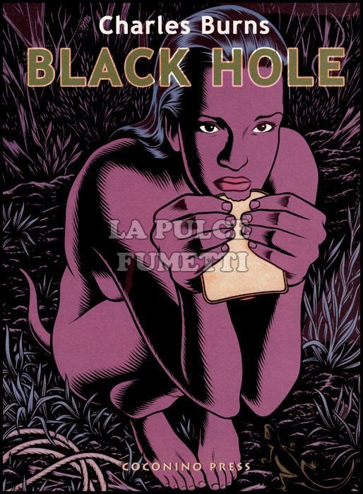 BLACK HOLE 1/3 COMPLETA